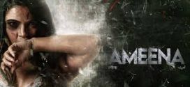 Ameena (2024) Hindi CAMRip x264 AAC 1080p 720p Download