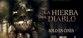 La Hierba del Diablo (2024) Bengali Dubbed (Unofficial) 720p CAMRip Online Stream