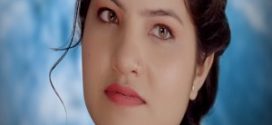 Desi Star 2024 Hindi Season 01 [ Episodes 01 Added] LookEntertainment WEB Series 720p HDRip Download