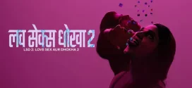 LSD 2 Love Sex Aur Dhokha 2 (2024) Hindi Netflix WEB-DL H264 AAC 1080p 720p 480p ESub