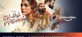 Sufiyum Sujatayum 2024 Hindi Dubbed Movie ORG 720p WEBRip 1Click Download