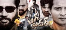 Big Brother (2024) Telugu CAMRip x264 AAC 1080p 720p Download