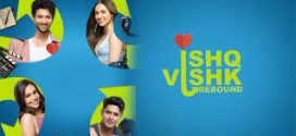 Ishq Vishk Rebound (2024) Hindi CAMRip x264 AAC 1080p 720p Download